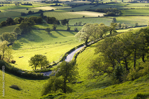 Obraz na plátně The winding road from the Severn Vale up the Cotswold scarp at Frocester Hill, G