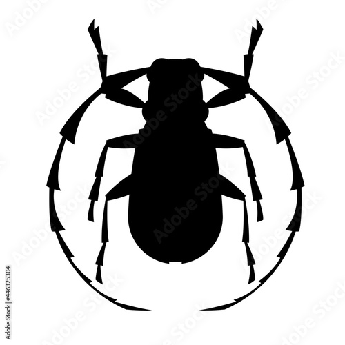 woodcutter beetle,vector illustration, black silhouette