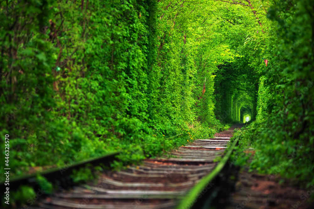 a railway in the spring forest tunnel of love - obrazy, fototapety, plakaty 