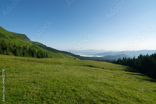 Morning in the mountains 