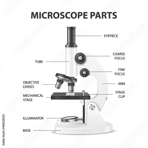 Microscope Parts. Vector 3d Realistic White Laboratory Microscope Isolated on White. Chemistry, Biology Tool. Science, Lab, Research, Education Infographics. Design Template. Front View