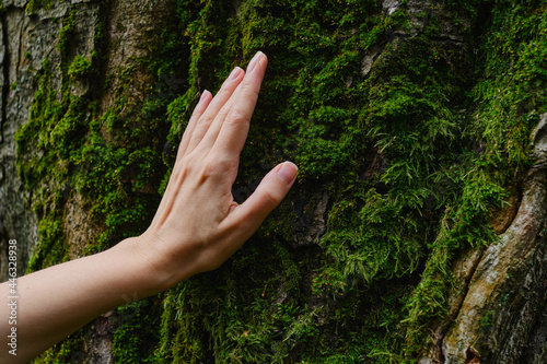 Girl hand touches a tree with moss in the wild forest. Forest ecology. Wild nature, wild life. Earth Day. Traveler girl in a beautiful green forest. Conservation, ecology, environment concept
 photo