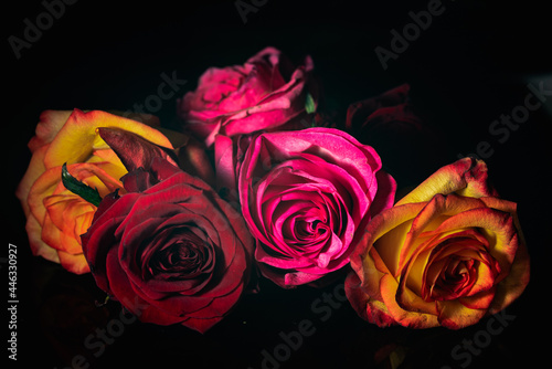 red and yellow roses