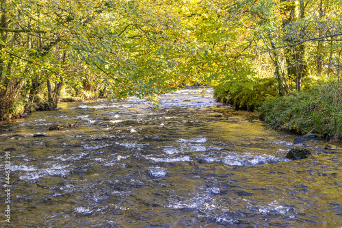 The River Barle on Exmoor National Park just downstream of Tarr Steps, Liscombe, Somerset UK