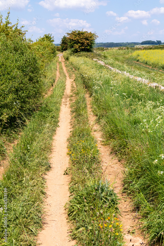 Ryknild Street or Icknield Street (locally Condicote Lane) a Roman road just south of the Cotswold village of Condicote, Gloucestershire UK