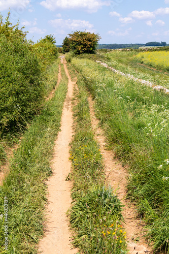 Ryknild Street or Icknield Street  locally Condicote Lane  a Roman road just south of the Cotswold village of Condicote  Gloucestershire UK