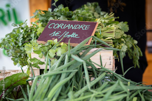 selling fresh coriander on the market of an urban farm