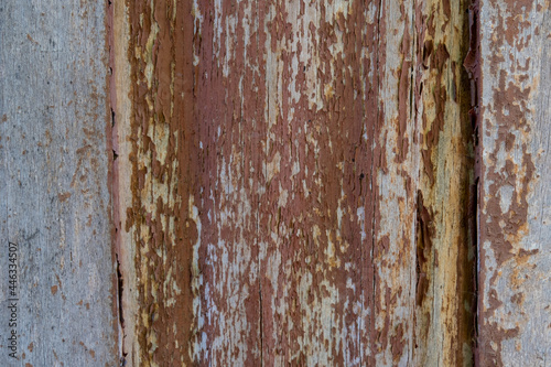 Old wooden board with old shabby paint. Textured background. Selective focus. © leo_nik