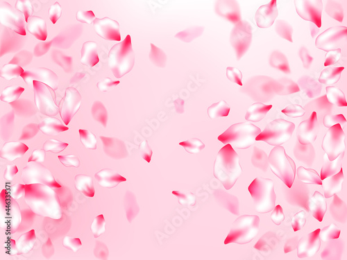 Japanese cherry blossom pink flying petals