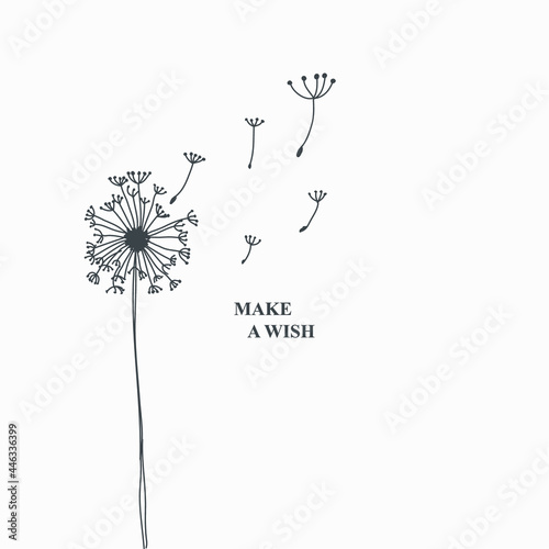 make a wish message fluffy dandelion