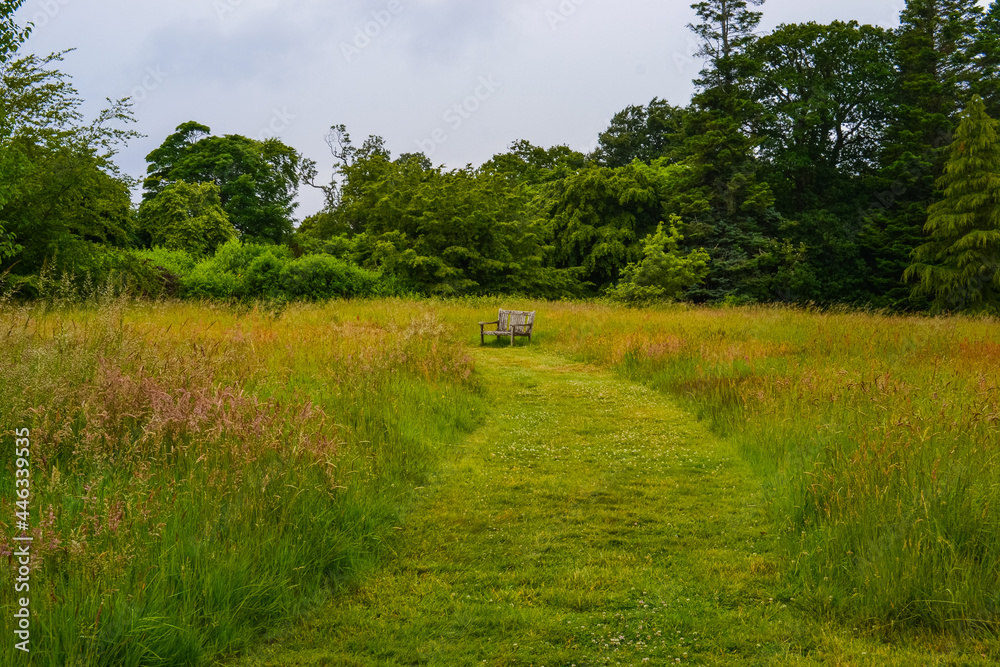 Wooden bench in the park. All around there is tall grass with a sloping path.