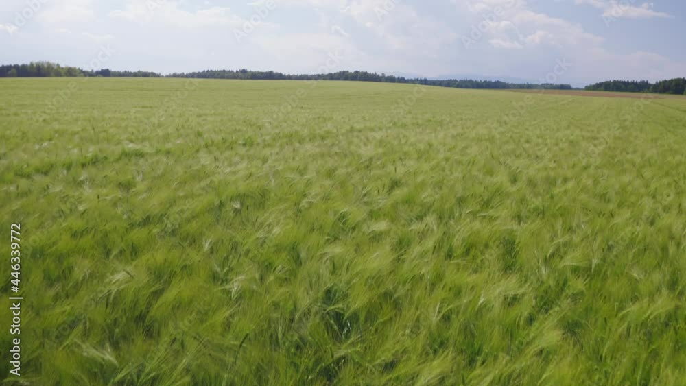 Aerial shot of a landscape, wide shot of a barley field and arable land, on the clear sunny day Aerial shot of a landscape, wide shot of a barley field and arable land, on the clear sunny day