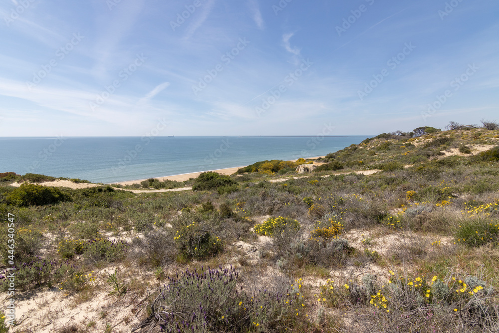 unas vistas de la bella playa de Mazagon, situada en la provincia de Huelva, España. Con sus acantilados, pinos, dunas ,
 vegetacion verde y un cielo con nubes. Atardeceres preciosos