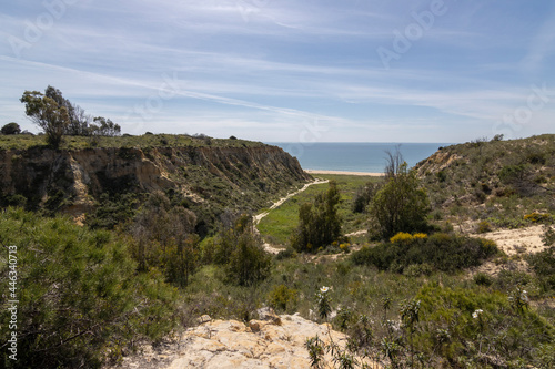 Spain's longest coastline is the coast of Huelva. From "Matalascanas" to "Ayamonte". Coast with cliffs, dunes, pine trees, green vegetation. It is considered one of the most beautiful beaches in Spain