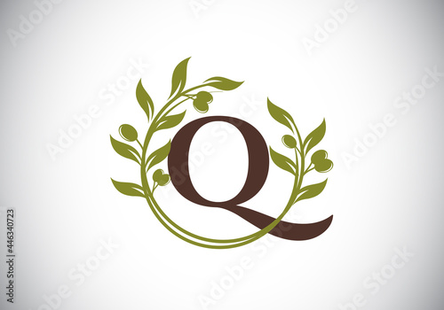 Initial letter Q sign symbol with olive branch wreath. Round floral frame made by the olive branch. Agriculture industry logo design vector template. Olive oil label