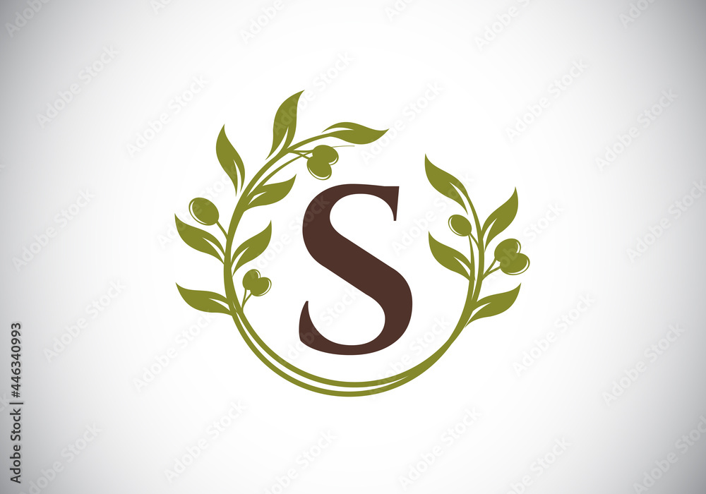 Initial letter S sign symbol with olive branch wreath. Round floral frame made by the olive branch. Agriculture industry logo design vector template. Olive oil label