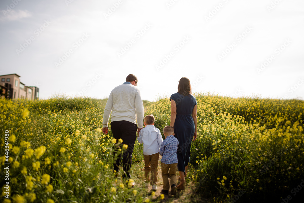 Family of Four Walking Through Wildflower Field Family of Four Walking Through Wildflower Field