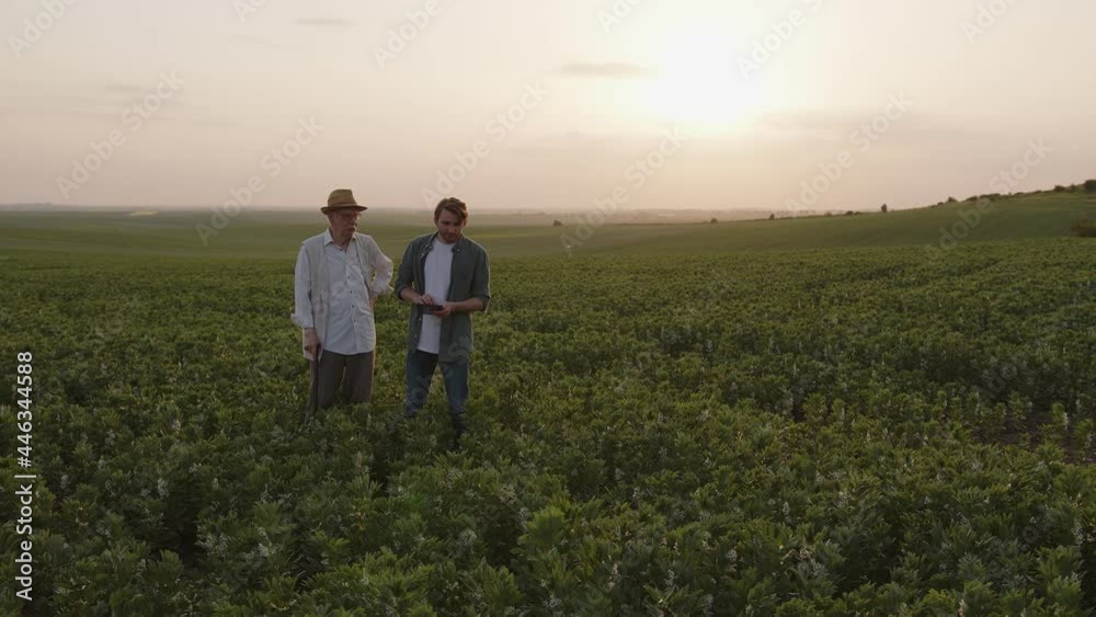 Senior and young farmers stand on the green field Senior and young farmers stand on the green field