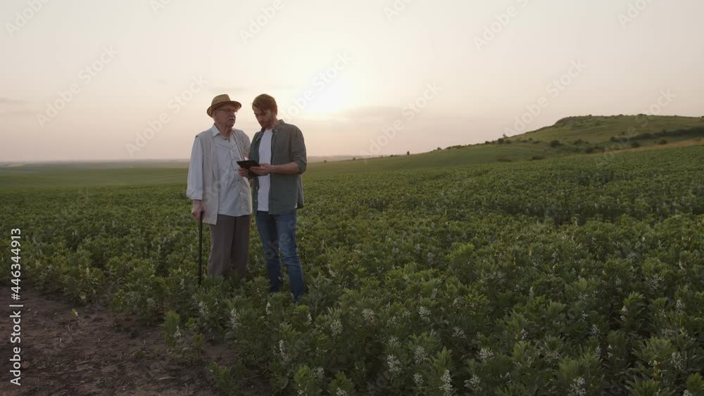 Farmers stand and talk about their farm fields Farmers stand and talk about their farm fields