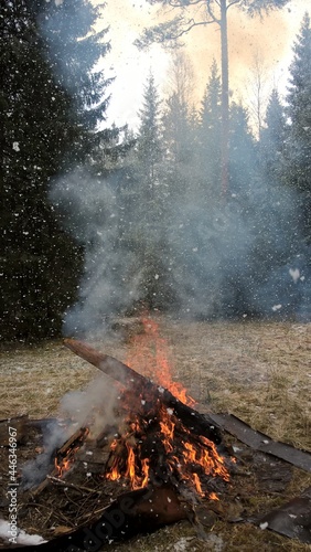 A large bright fire burns during the day in the forest and snow is falling from the sky in large flakes
