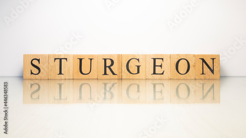 The name Sturgeon was created from wooden letter cubes. Seafood and food.