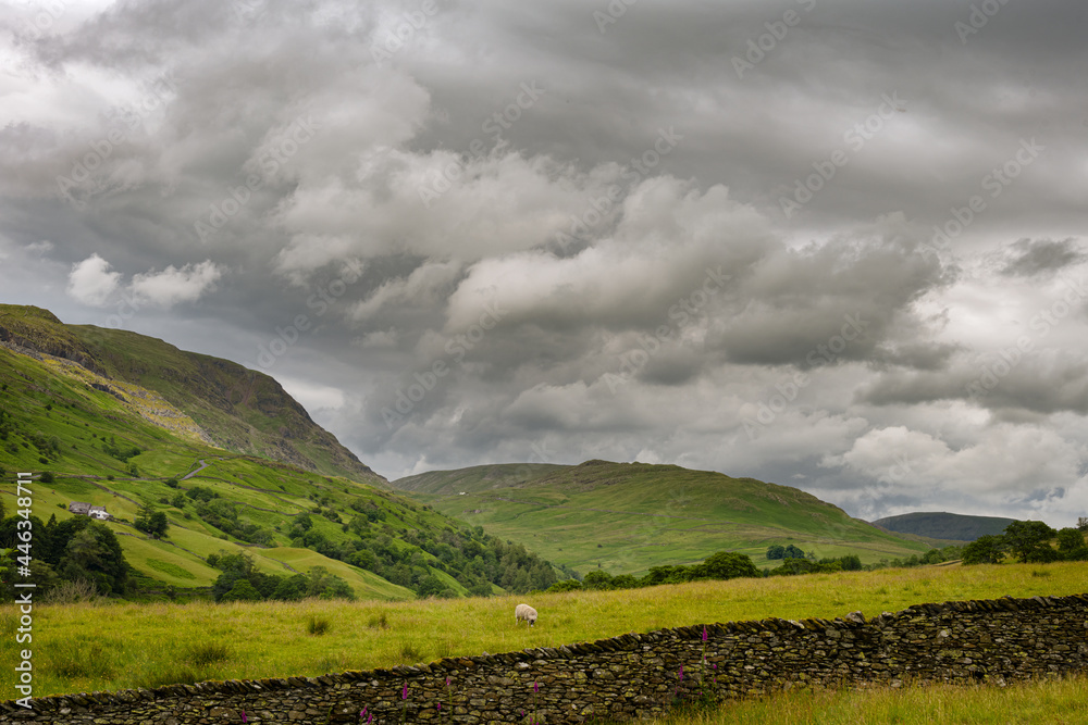 Obraz premium Hiking up Wansfell on a summer afternoon, Lake district, England