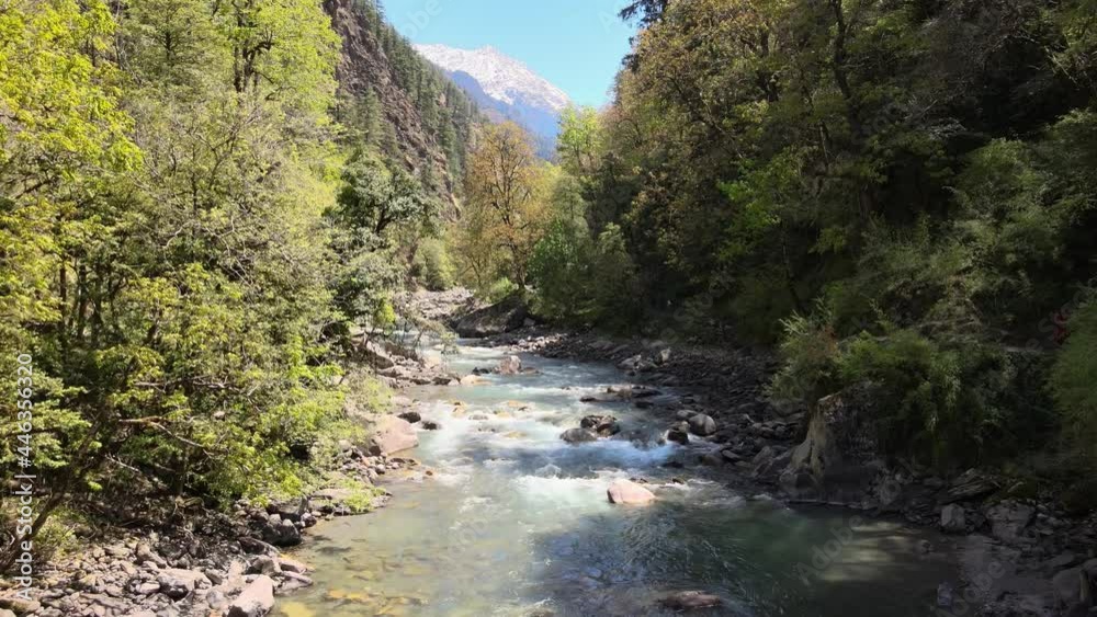 water flowing in valley with vegetation. aerial drone shot view of river in mountain trees in beautiful sunny day. pure transparent natural drinking water flowing through stones rocks nature jungle water flowing in valley with vegetation. aerial drone shot view of river in mountain trees in beautiful sunny day. pure transparent natural drinking water flowing through stones rocks nature jungle