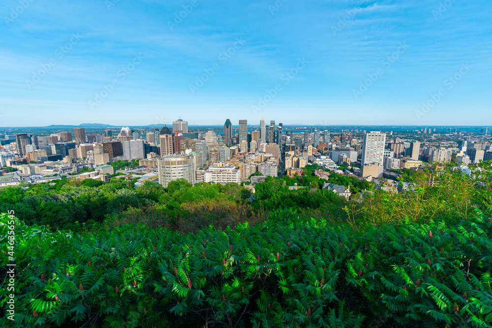 Montreal city landscape in summer