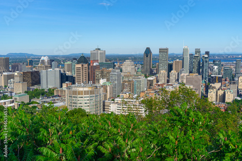 Montreal city landscape in summer