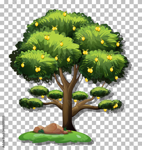 Lemon tree on transparent background
