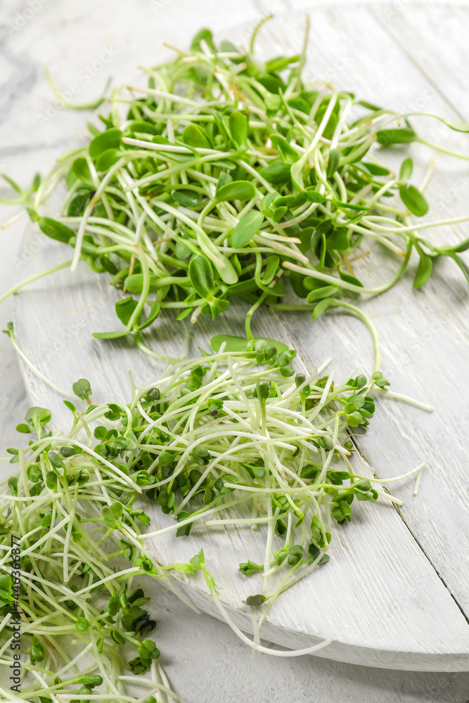 Wooden board with different fresh micro green on light background Wooden board with different fresh micro green on light background