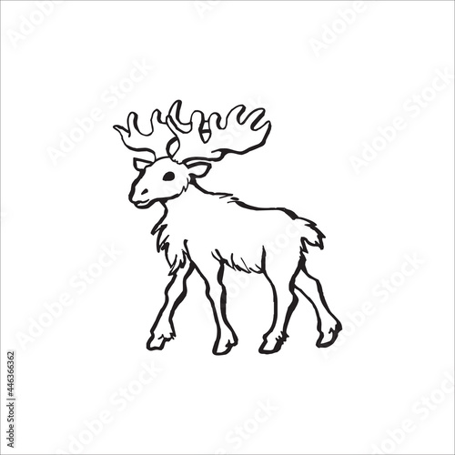 Wild deer animal vector logo.