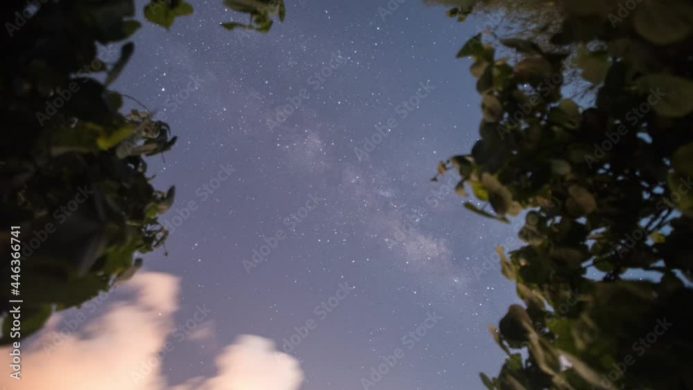 The stars with the Milky Way galaxy above the forest in the starry ...