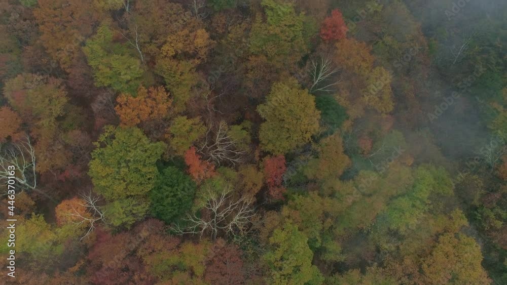 紅葉・山・空撮・ドローン 紅葉・山・空撮・ドローン