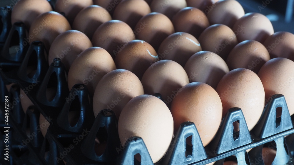 Obraz premium Some eggs
