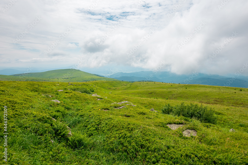 Obraz premium green nature landscape. beautiful summer scenery in mountains. stones on the grassy hills rolling in to the distant ridge beneath a cloudy sky