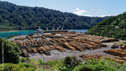 Pine tree logs being loaded onto a ship for export at Shakespeare Bay, Waimahara Wharf, Port Marlborough, Marlborough Sounds, New Zealand. photo