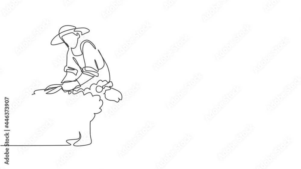 Animated self drawing of continuous one line draw young male farmer was carefully shearing the fleece using scissors. Successful farming challenge minimalist concept. Full length single line animation Animated self drawing of continuous one line draw young male farmer was carefully shearing the fleece using scissors. Successful farming challenge minimalist concept. Full length single line animation