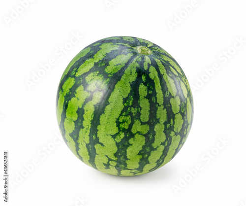 One watermelon placed on a white background.