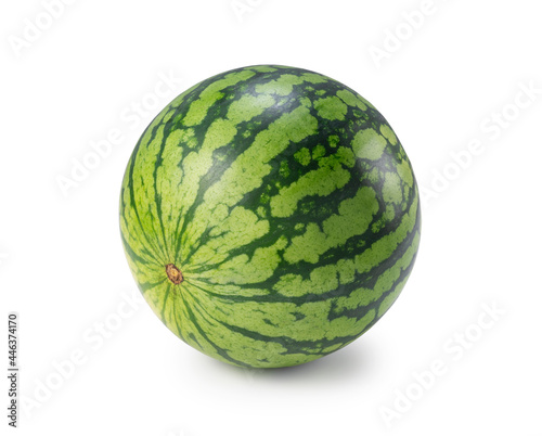 One watermelon placed on a white background.