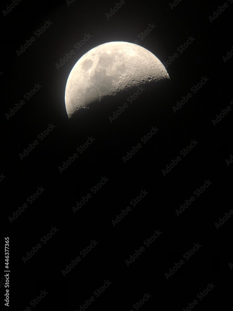 To the Moon To the Moon