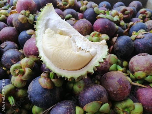 Durian and Mangosteen