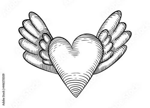 Cute hand drawn heart shape with wings. Black vintage sketch on white background.