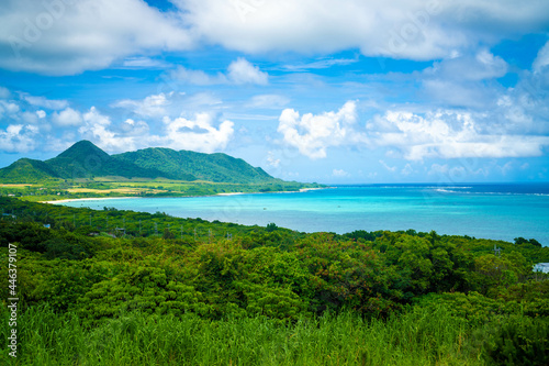                                         Ishigaki Okinawa