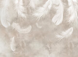 Feathers. Beautiful vintage feathers. Wallpaper for the bedroom. Watercolour feathers. Light airy pattern. Bird feather.