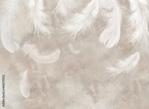 Feathers. Beautiful vintage feathers. Wallpaper for the bedroom. Watercolour feathers. Light airy pattern. Bird feather. © antura