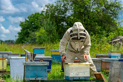 Worker carring out the bee hives. Farmer in protective suit working on the bee field.