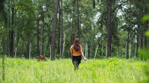 Rear view image of a woman walking into the pine trees forest