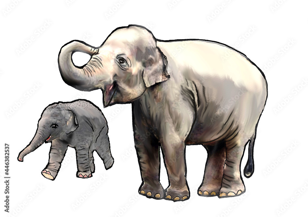 Obraz premium 親子象