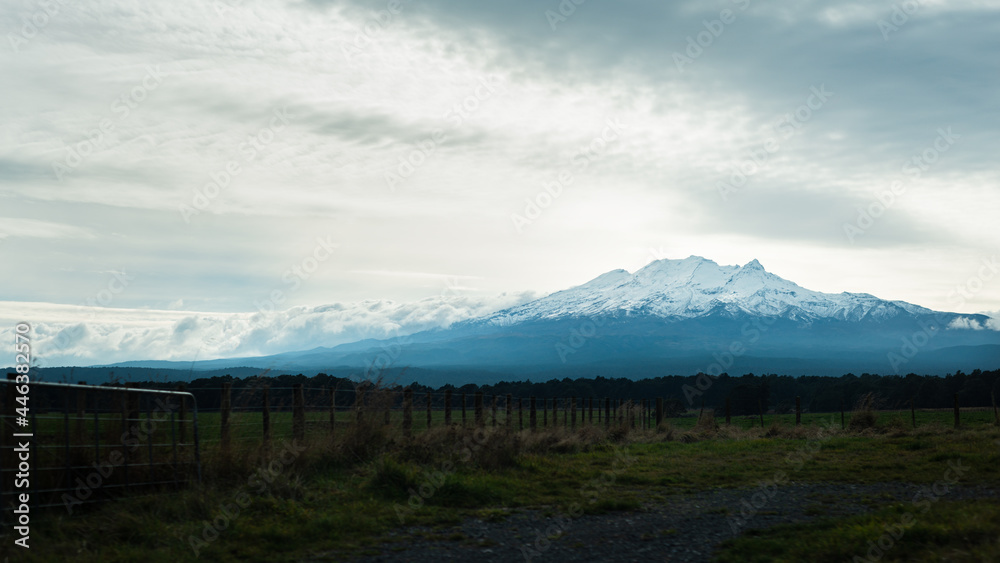 Snow caped Mt Ruapehu under the stormy clouds with farm fence and gate in the foreground, view from Desert Road, North Island Snow caped Mt Ruapehu under the stormy clouds with farm fence and gate in the foreground, view from Desert Road, North Island